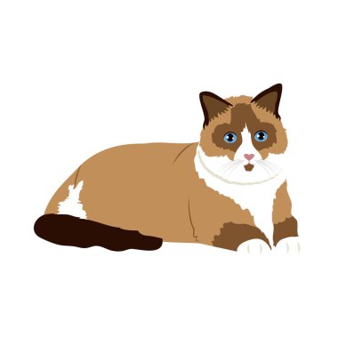 Çizgi film bez bebek kedi ikonu, renkli tasarım