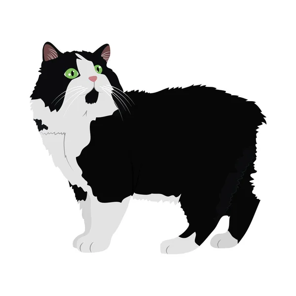 Blanco y negro lindo gato icono, diseño colorido — Vector de stock