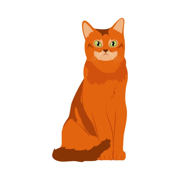 Icône de chat rouge dessin animé, design coloré — Image vectorielle