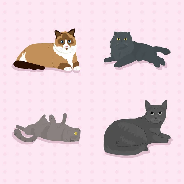 Bonito gatos ícone conjunto de design — Vetor de Stock