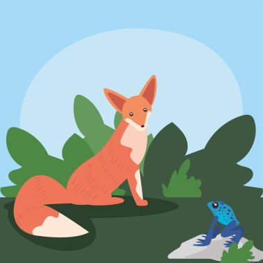 Tilki ve kurbağa orman peyzaj tasarımı