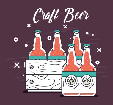 Bira şişeleri kutu tasarımı