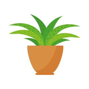 Tencerede renkli bir bitki ikonu.