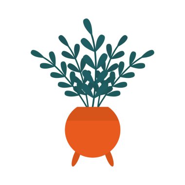 Bir saksıda dekoratif bitki, renkli tasarım.