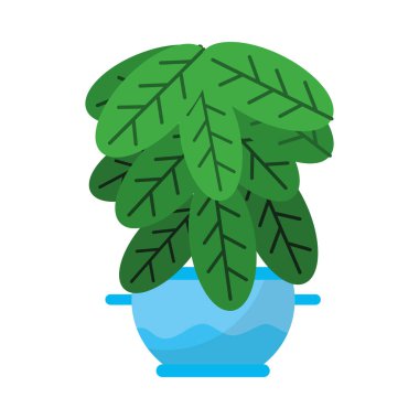 Mavi tencerede dekoratif bitki, renkli tasarım.