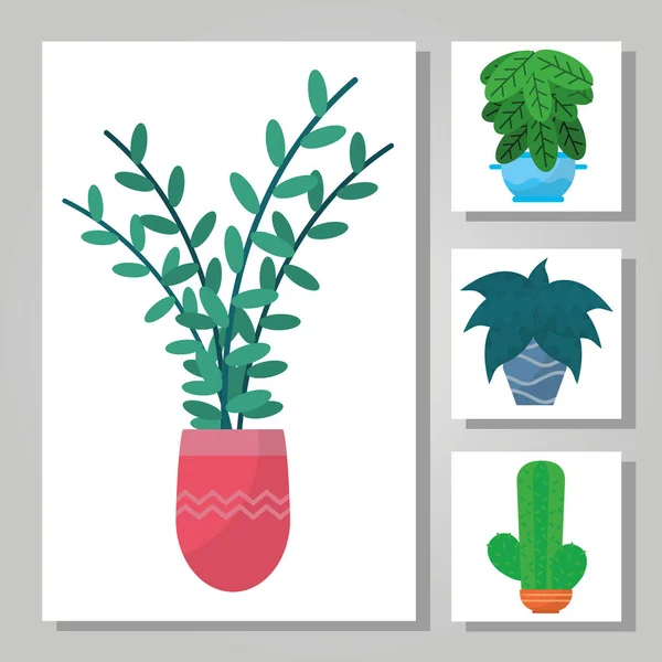 Indoor planten in een potcollectie, kleurrijk design — Stockvector
