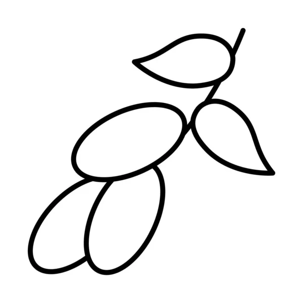 Icône de branche d'olive, ligne et style de remplissage — Image vectorielle