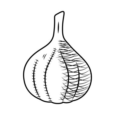 Sarımsak kafa ikonu, yemek konsepti, el çizimi tarzı.