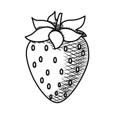 Çilekli meyve ikonu, yemek konsepti, el çizimi tarzı.