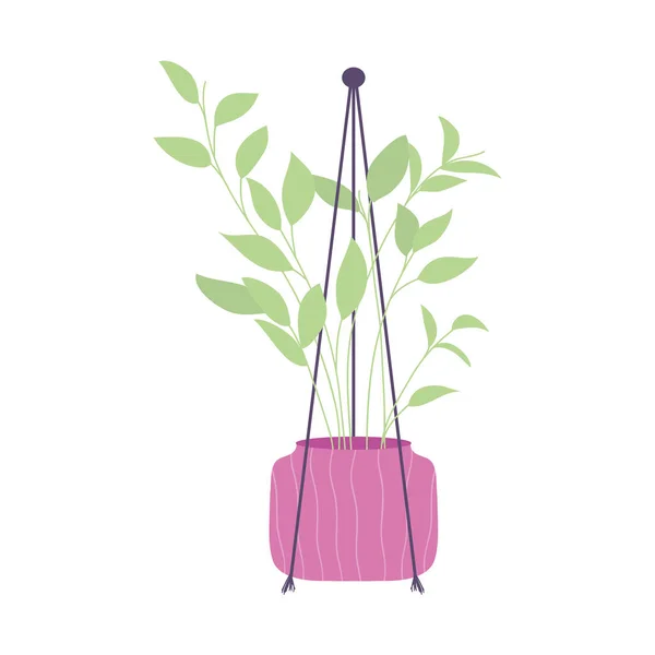 Hanger plant in een paarse pot, kleurrijk design — Stockvector