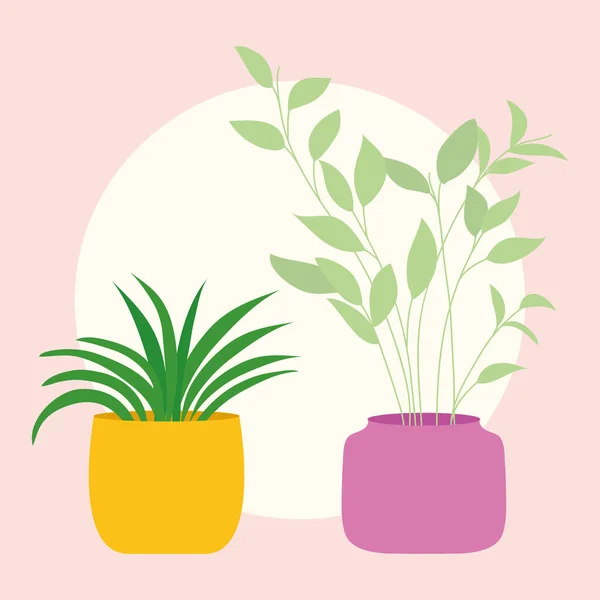 Design de plantas de sala em uma panela colorida — Vetor de Stock