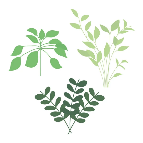Conjunto de iconos de plantas verdes, diseño colorido — Archivo Imágenes Vectoriales