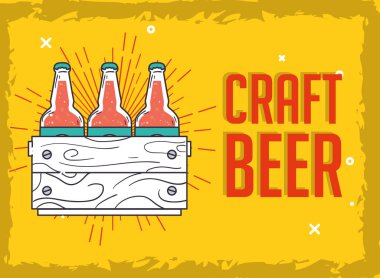 Bira şişeleri kutu tasarımı