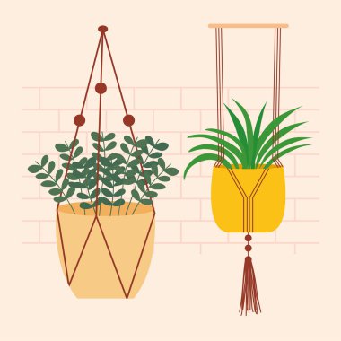 Dekoratif askı bitkileri, renkli tasarım.