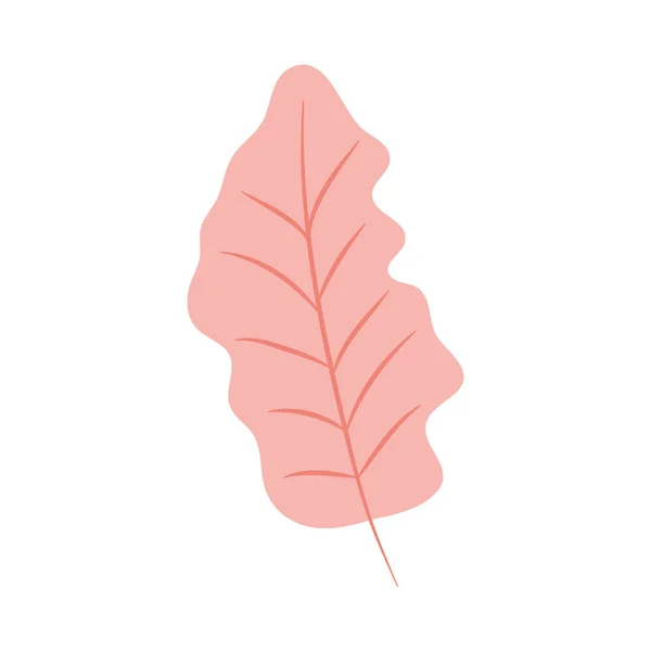 Ikon daun merah muda, desain warna-warni - Stok Vektor