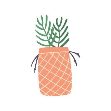 Sepet içinde bitki tasarımı