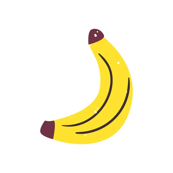 Isoliertes Vektordesign für Bananenfrüchte — Stockvektor