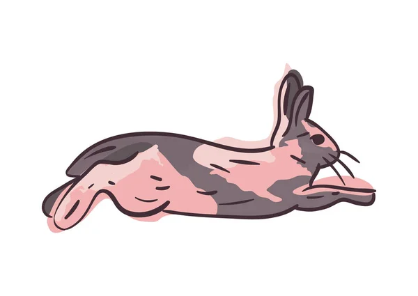 Conception vectorielle de saut de lapin mignon — Image vectorielle