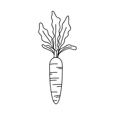 Havuç sebze simgesi, çizgi biçimi