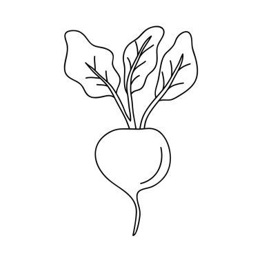 turp sebze simgesi, satır biçimi