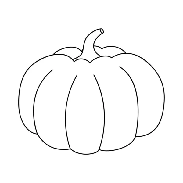 Icono de la calabaza vegetal, estilo de línea — Vector de stock