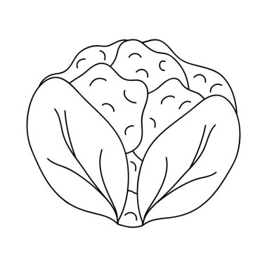 Karnabahar sebze ikonu, çizgi tarzı