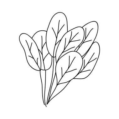 ıspanak yaprakları simgesi, çizgi biçimi