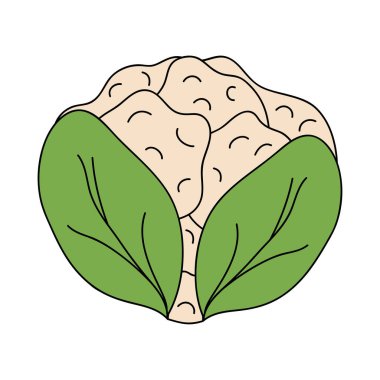 Karnabahar sebze ikonu, düz stil