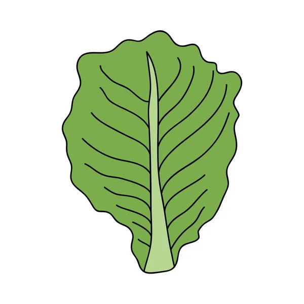 Икона листьев салата, плоский стиль — стоковый вектор