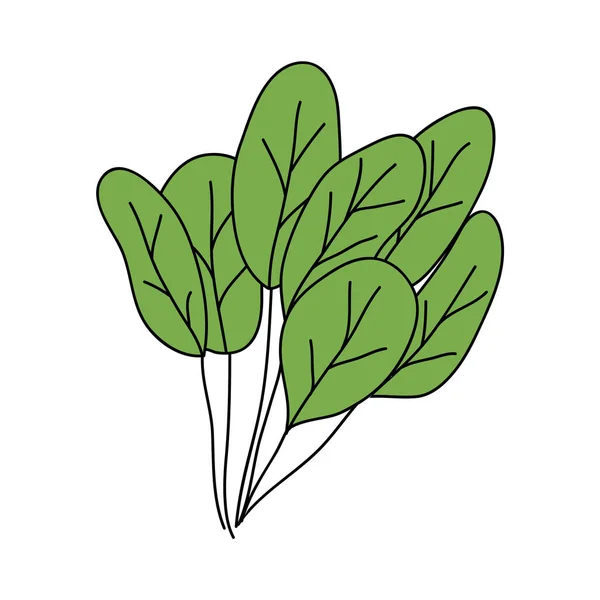 Icône de feuilles d'épinards, style plat — Image vectorielle