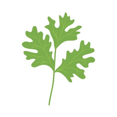 Kişniş yaprakları simgesi, renkli tasarım