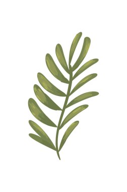 yeşil yapraklar izole vektör tasarımı