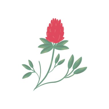 Yapraklı kırmızı çiçek izole vektör tasarımı