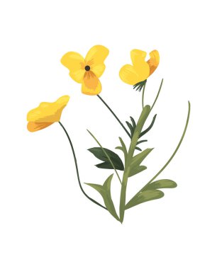 Yaprak vektör dizaynlı sarı çiçek