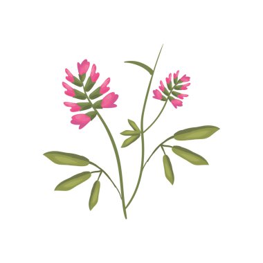 Yapraklı pembe çiçek izole vektör tasarımı
