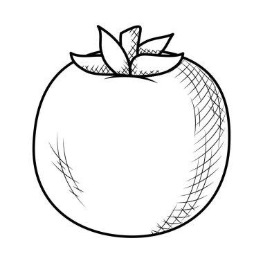 Domates sebze ikonu, skeç tarzı