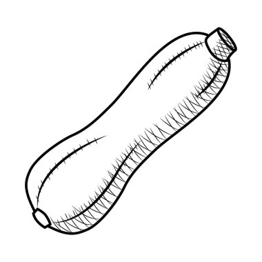 kabak sebze ikonu, skeç tarzı