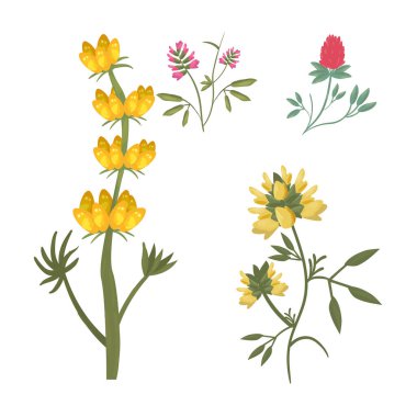 Yapraklı çiçekler sembolik vektör tasarımı