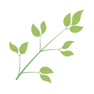 Yeşil yapraklı kök simgesi, renkli tasarım