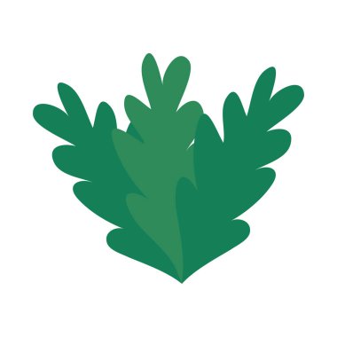 egzotik çalı simgesi