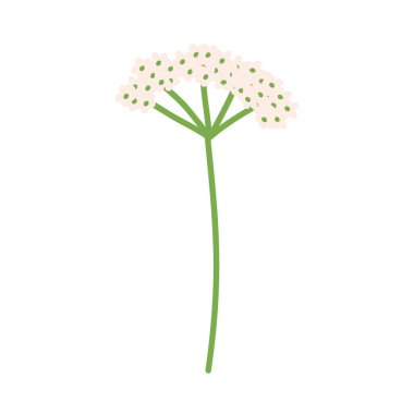 Küçük çiçek sapı