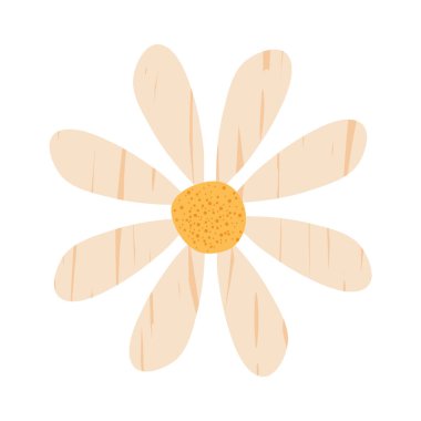 papatya çiçeği simgesi