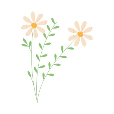 papatya çiçeği simgesi