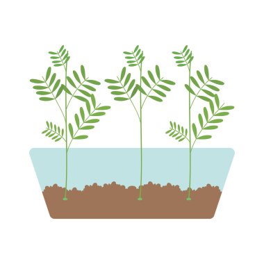 Filizlenen mikroyeşillik simgesi