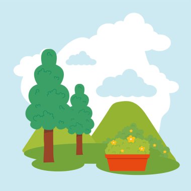 Bahçe çam ağaçları