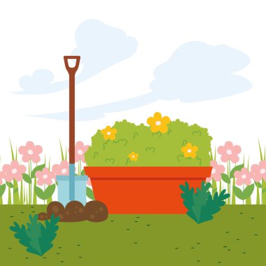 Bahçe çiçekleri çalılar