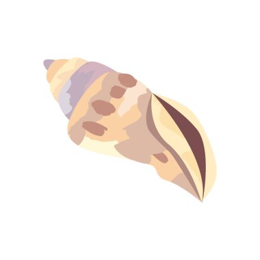 Deniz lalesi kabuğu