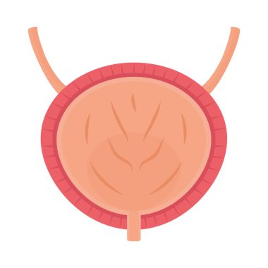 İnsan mesanesi tasarımı