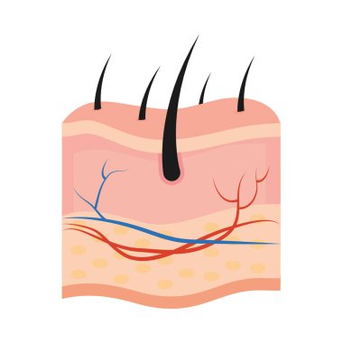 İnsan derisi tasarımı