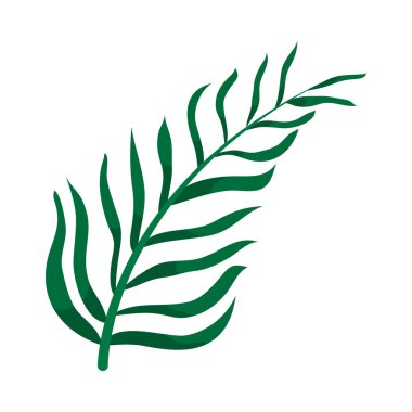 Palmiye yaprağı tasarımı